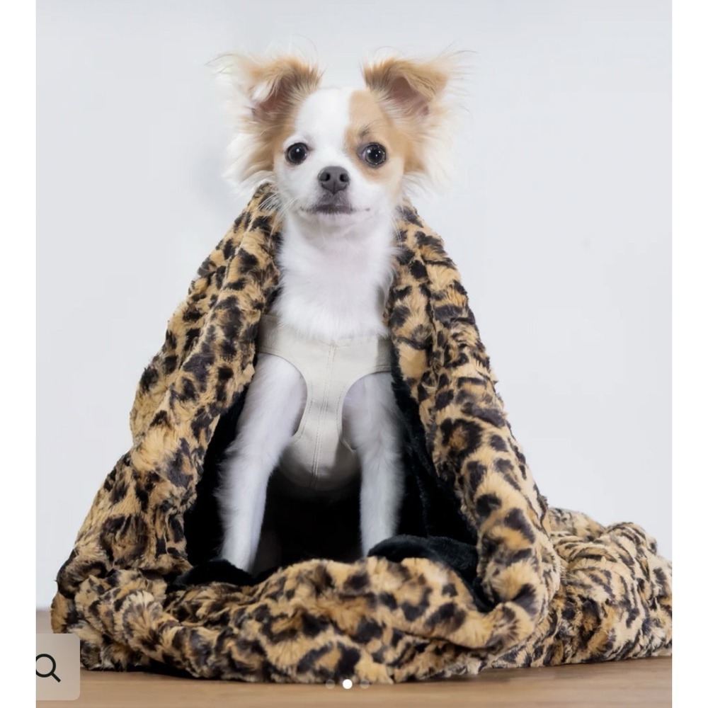 Susan Lanci Cuddle Cup Cheetah 3-in-1 Piece Luxury Pet Pamper Tumble Blanket Bed